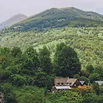 D'aunac * Seix